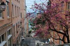 IMG-20230425-WA0002