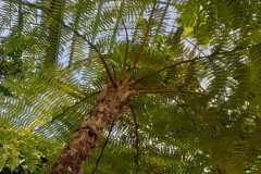 IMG-20230427-WA0001
